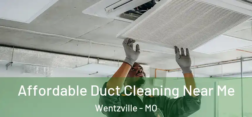  Affordable Duct Cleaning Near Me Wentzville - MO