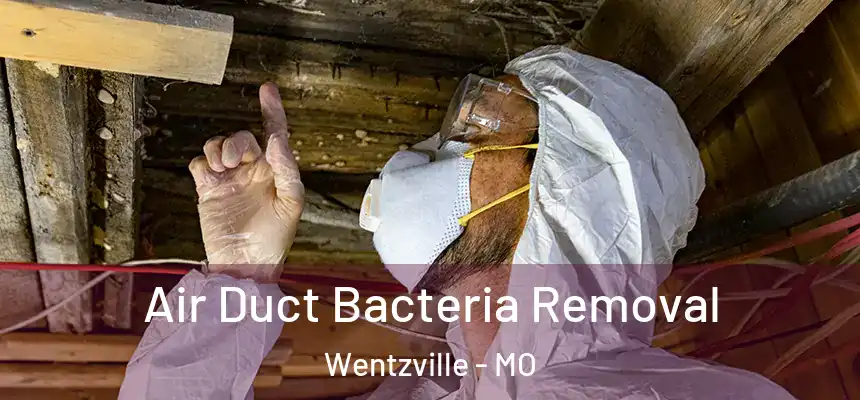  Air Duct Bacteria Removal Wentzville - MO