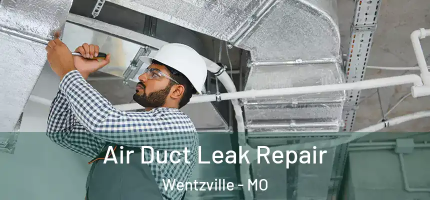  Air Duct Leak Repair Wentzville - MO