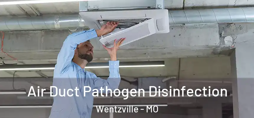  Air Duct Pathogen Disinfection Wentzville - MO