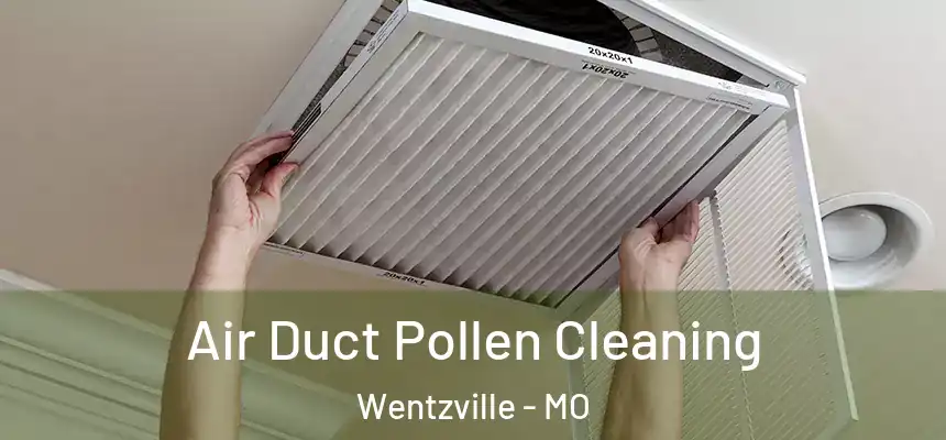 Air Duct Pollen Cleaning Wentzville - MO