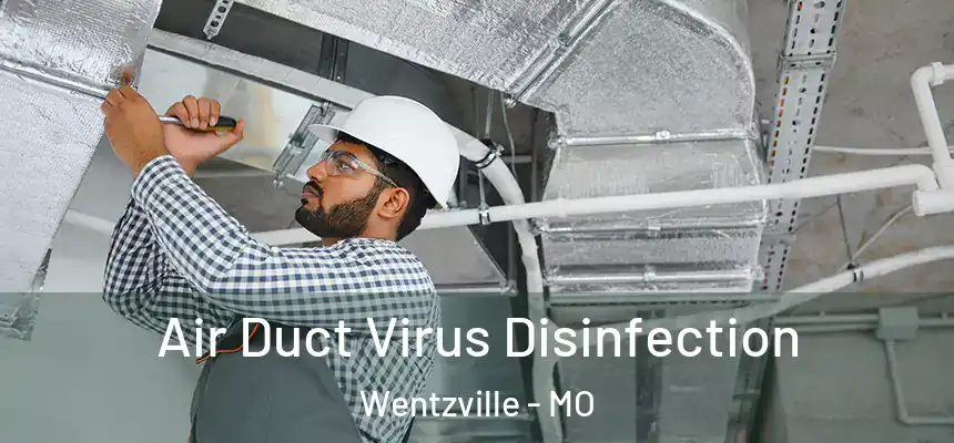  Air Duct Virus Disinfection Wentzville - MO