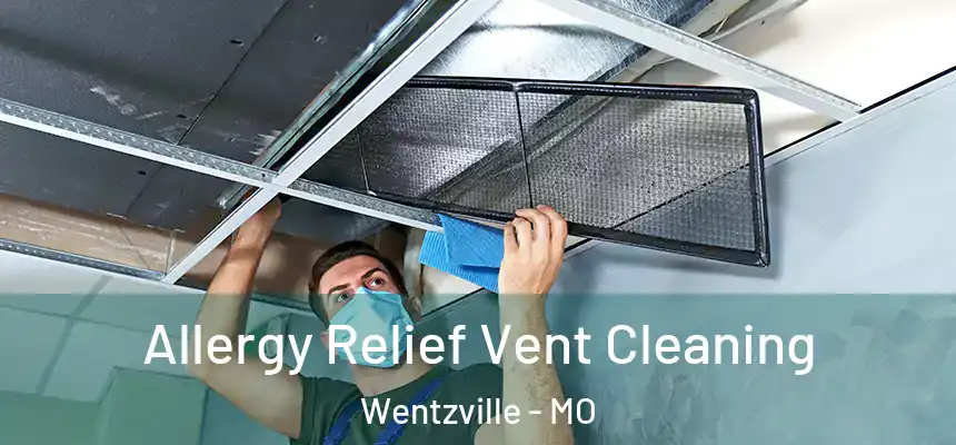 Allergy Relief Vent Cleaning Wentzville - MO