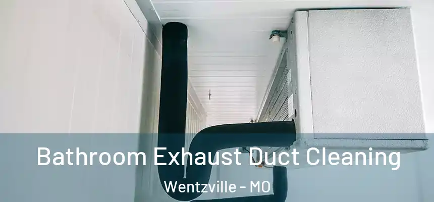  Bathroom Exhaust Duct Cleaning Wentzville - MO