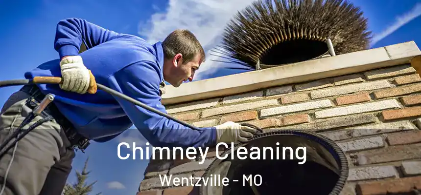  Chimney Cleaning Wentzville - MO