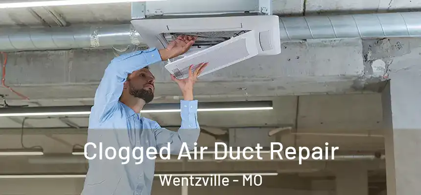  Clogged Air Duct Repair Wentzville - MO
