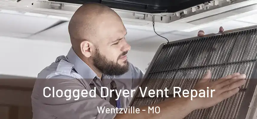 Clogged Dryer Vent Repair Wentzville - MO
