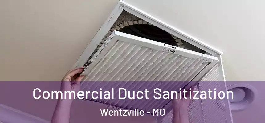  Commercial Duct Sanitization Wentzville - MO
