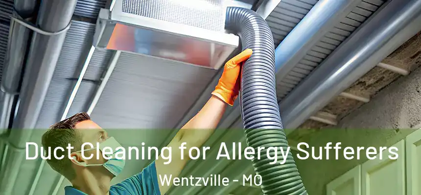  Duct Cleaning for Allergy Sufferers Wentzville - MO