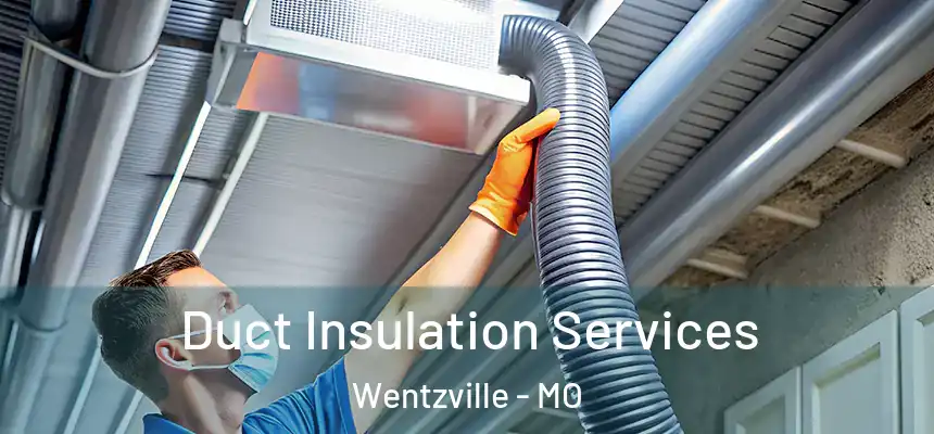  Duct Insulation Services Wentzville - MO