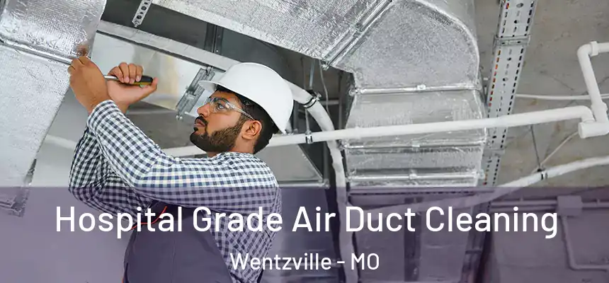  Hospital Grade Air Duct Cleaning Wentzville - MO