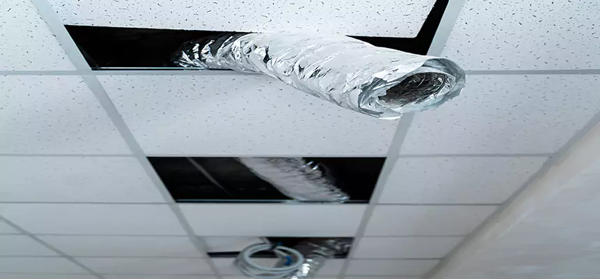 Our Air Duct Pet Hair Removal Services in Wentzville, MO