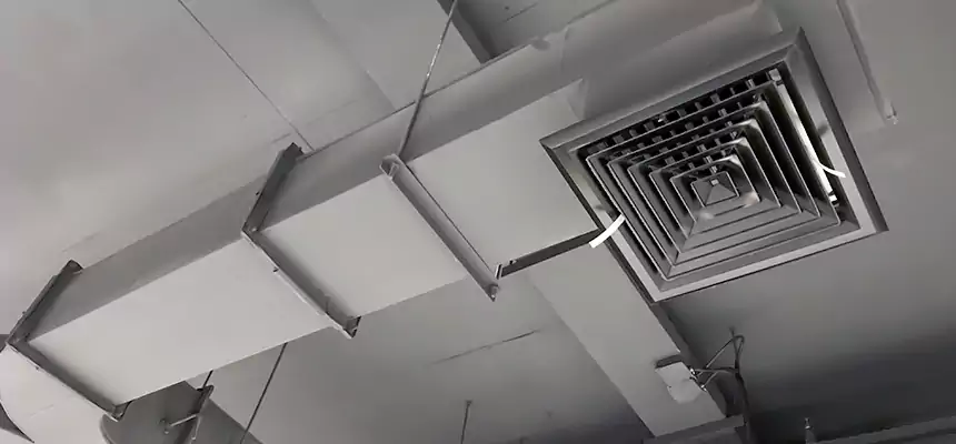 Restorative Allergy Relief Vent Cleaning – Coil, Blower & Housing Detail in Wentzville