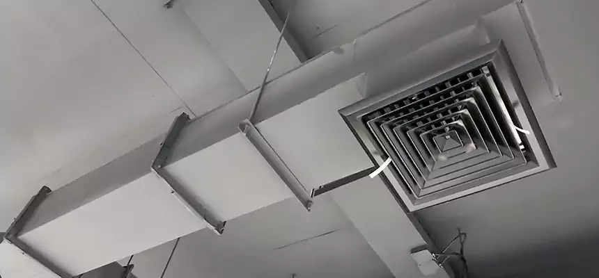 Our Rodent Droppings In Vents Services in Wentzville, MO