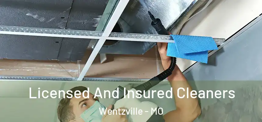  Licensed And Insured Cleaners Wentzville - MO