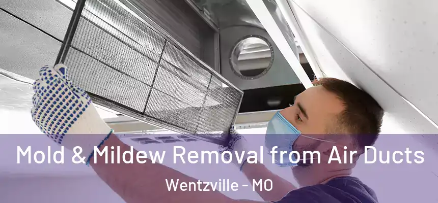  Mold & Mildew Removal from Air Ducts Wentzville - MO