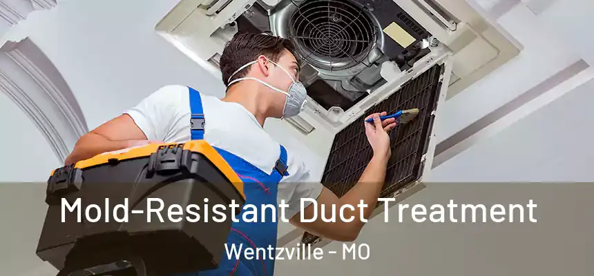  Mold-Resistant Duct Treatment Wentzville - MO