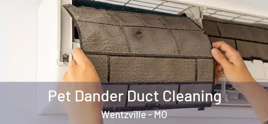  Pet Dander Duct Cleaning Wentzville - MO