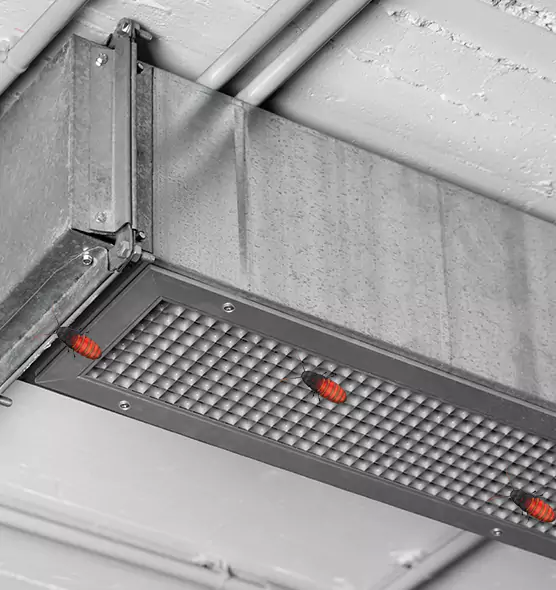 About Air Duct Cockroach Removal in Wentzville, MO