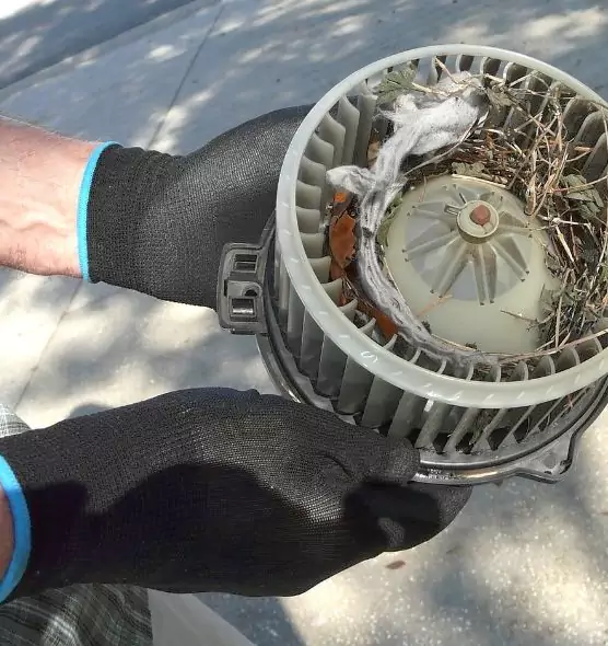 About Air Duct Mice Removal in Wentzville, MO