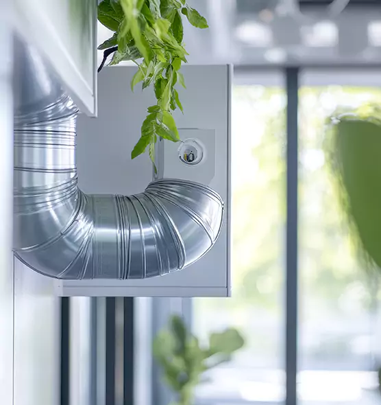 Professional Eco-Safe Dryer Vent Cleaning in Wentzville, MO