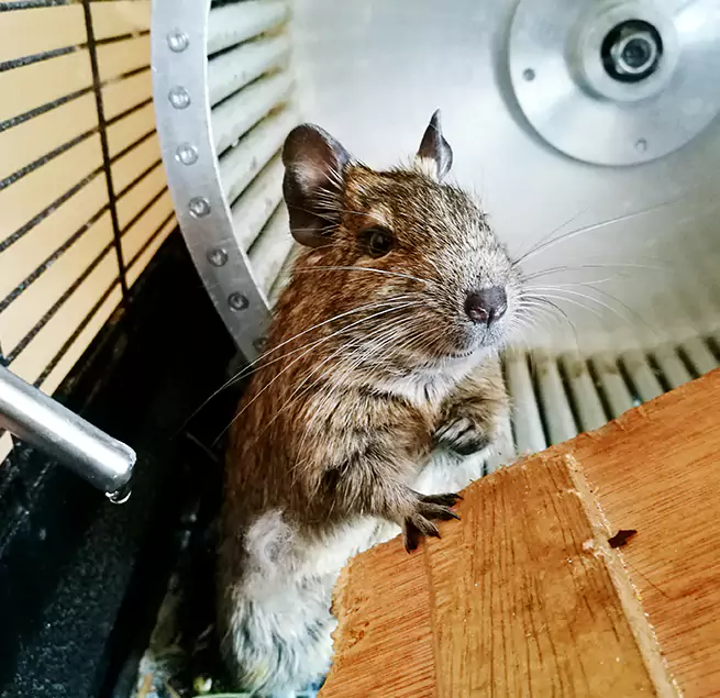 Why Homeowners & Businesses Trust Us Wentzville, MO