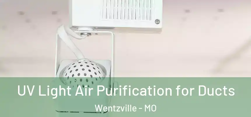 UV Light Air Purification for Ducts Wentzville - MO