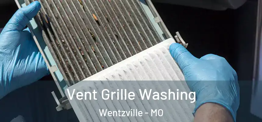  Vent Grille Washing Wentzville - MO