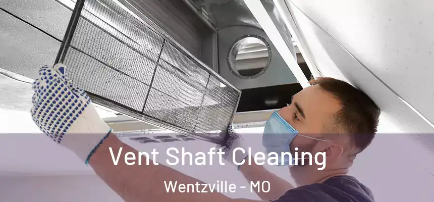  Vent Shaft Cleaning Wentzville - MO