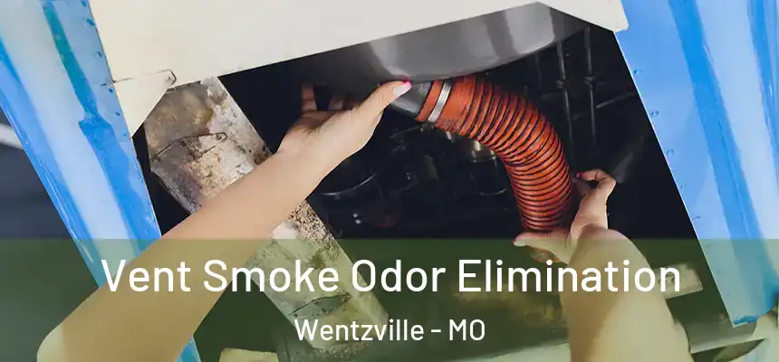  Vent Smoke Odor Elimination Wentzville - MO