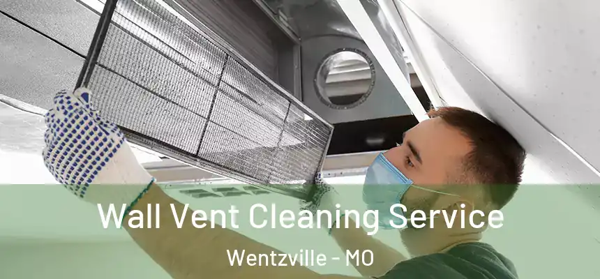  Wall Vent Cleaning Service Wentzville - MO