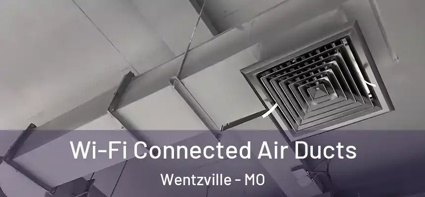  Wi-Fi Connected Air Ducts Wentzville - MO